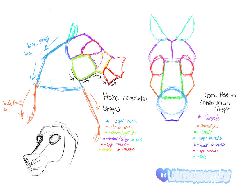 Style guide for horse heads.